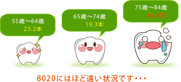 1人あたりの残っている歯の数（2013年歯科疾患実態調査より）